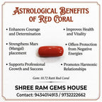 Natural Red Coral 10.72 Ratti