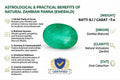 Natural Zambian Emerald (Panna) – 8.1 Ratti