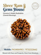 8 mukhi Rudraksha