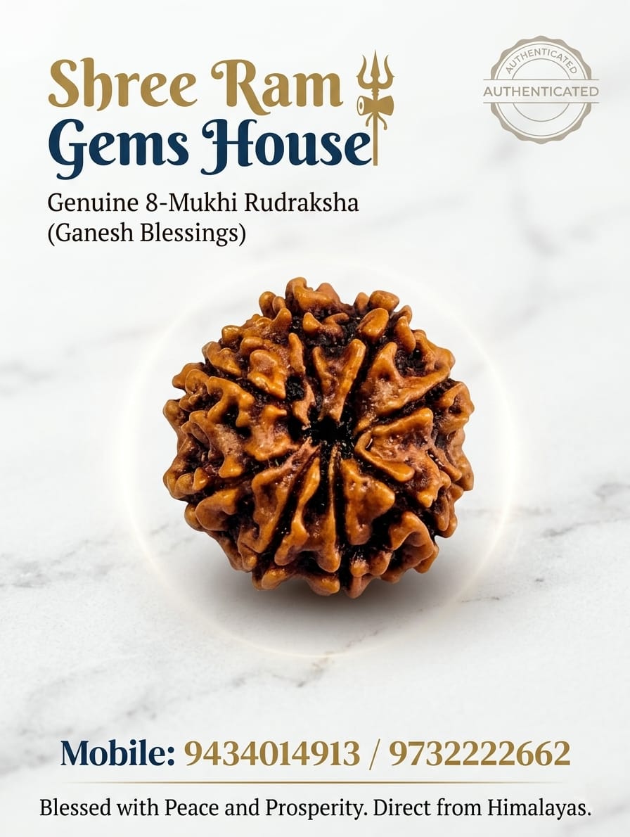 8 mukhi Rudraksha