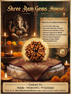 8 mukhi Rudraksha