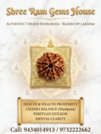 7 mukhi Rudraksha