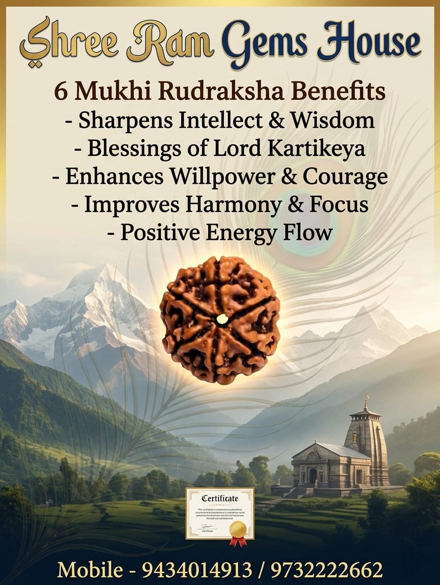 6 mukhi Rudraksha