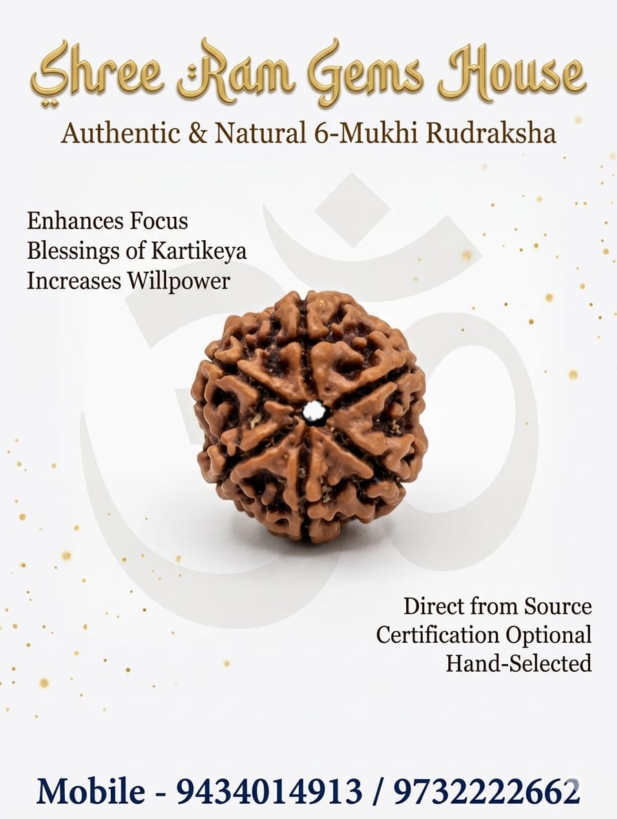6 mukhi Rudraksha