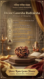 The Ganesha Rudraksha