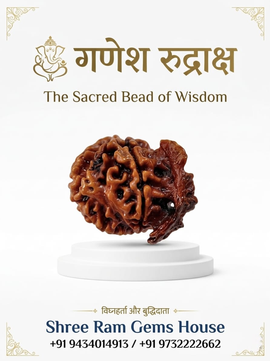 The Ganesha Rudraksha