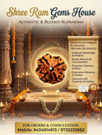 4 Mukhi Rudraksha