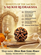 5-Mukhi Rudraksha