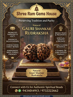 Gauri Shankar Rudraksha
