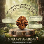 2 Mukhi Rudraksha