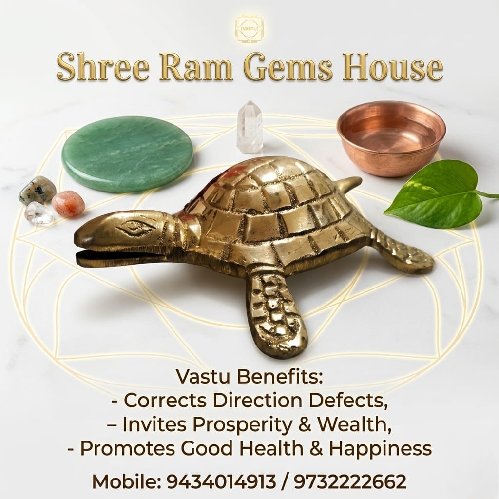 Metal Vastu Tortoise (Kachua)