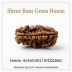 1 Mukhi Rudraksha