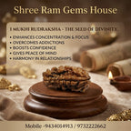 1 Mukhi Rudraksha