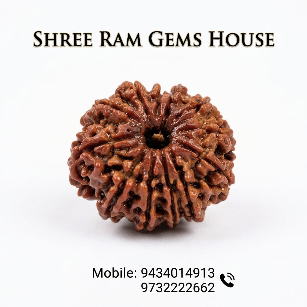 12 Mukhi Rudraksha