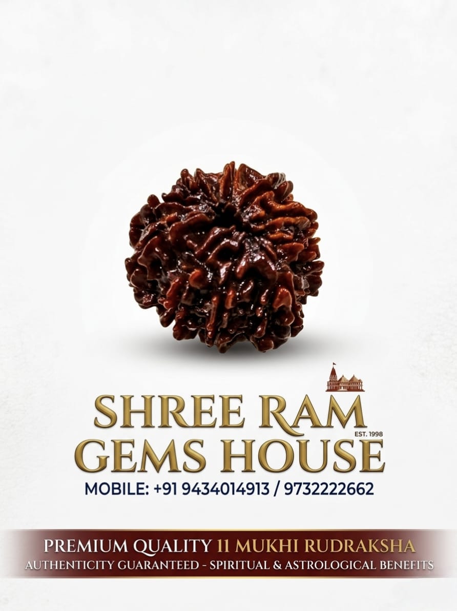 11 Mukhi Rudraksha