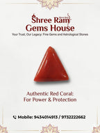7 Ratti Triangular Red Coral (Moonga)